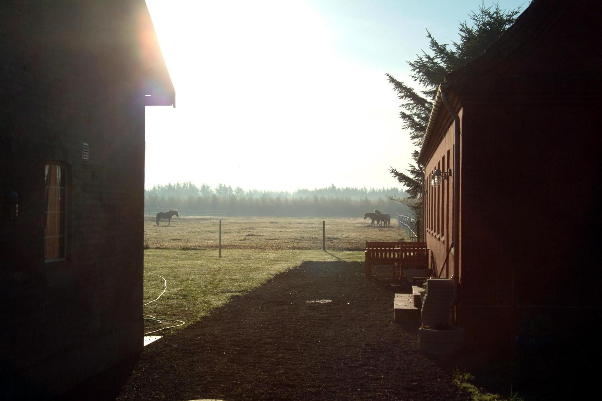 Nordkap Farm Holiday & Hostel Bindslev Exterior photo